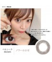 BELLSiQUE 1 day color contact 10片裝