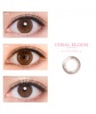 DECORATIVE Eyes Veil 1 day Colorcon(4colors)