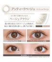 EverColor 1day Natural Moist UV 20片裝