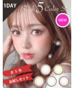 Blush Daily color 10片裝