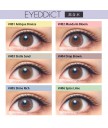 EYEDDiCT 1day colorcon 55%10片裝 